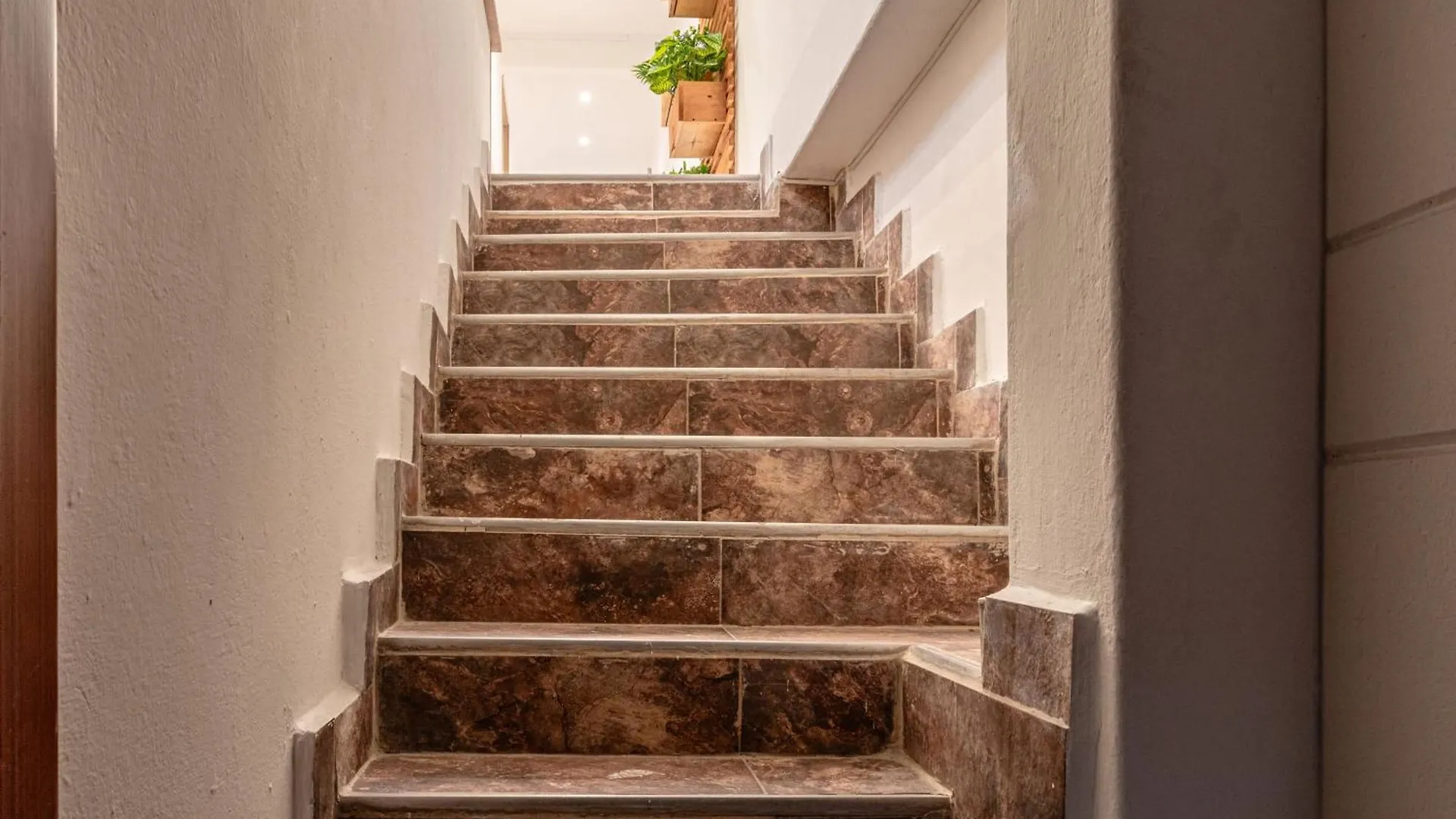 Cozy Apartment With A/C In North Medellin. Medellin